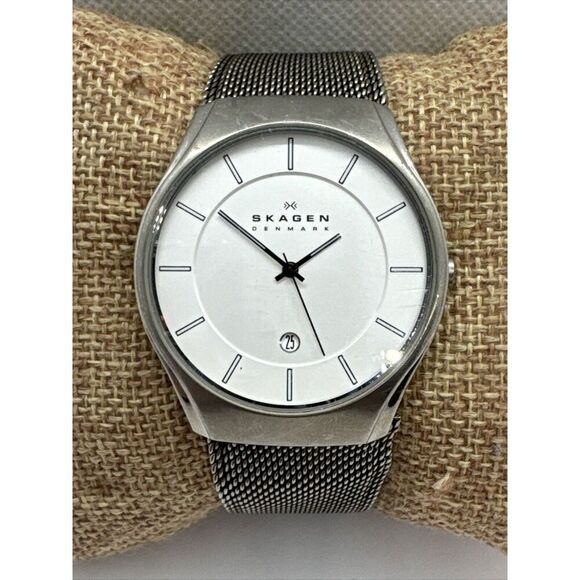 Skagen 956XLTTW Women\'s Silver Stainless Steel Mesh Analog Quartz Watch AEA141